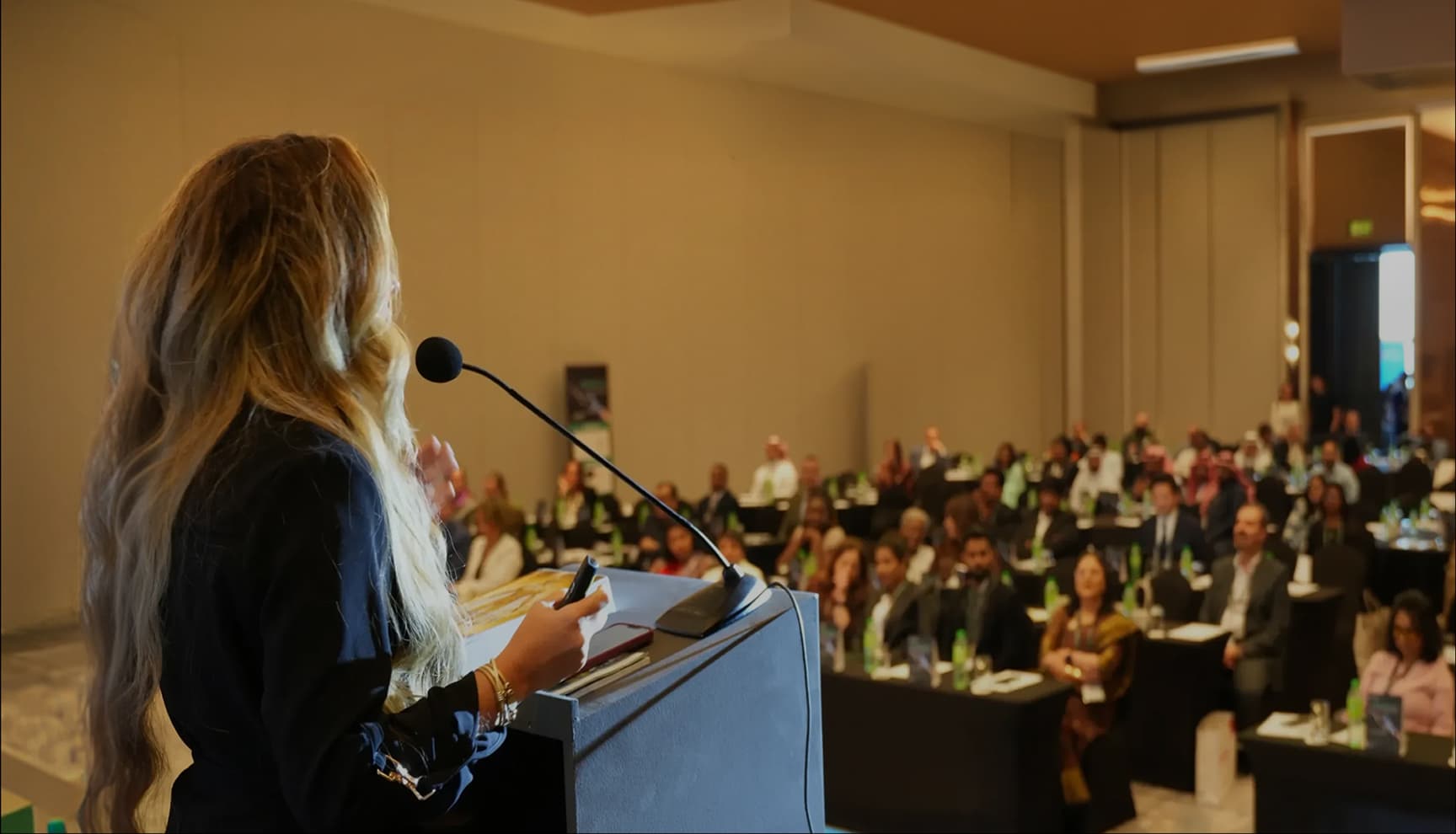 Apex Business Leadership Award event